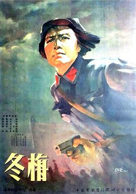 冬梅封面图