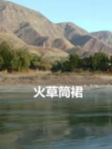 火草筒裙封面图