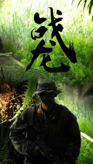 战龙封面图
