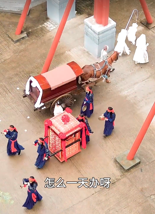 新：王妃她又美又飒103集封面图