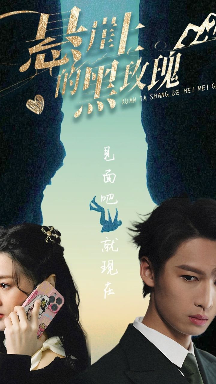 悬崖上的黑玫瑰101集封面图