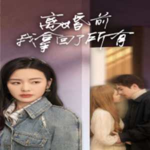 离婚前我拿回了所有封面图