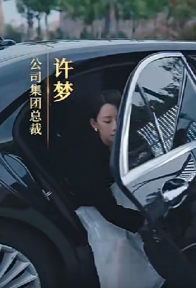 女老板的复仇封面图