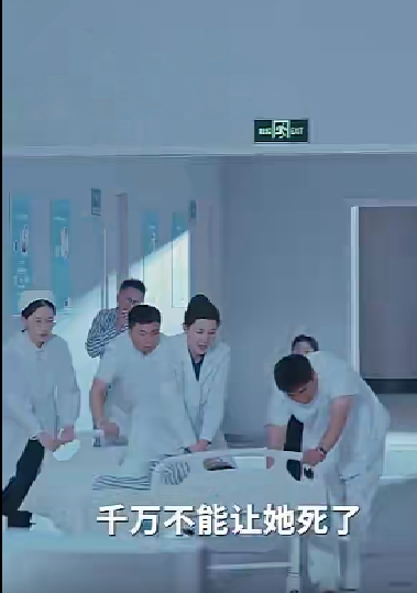 晨曦封面图