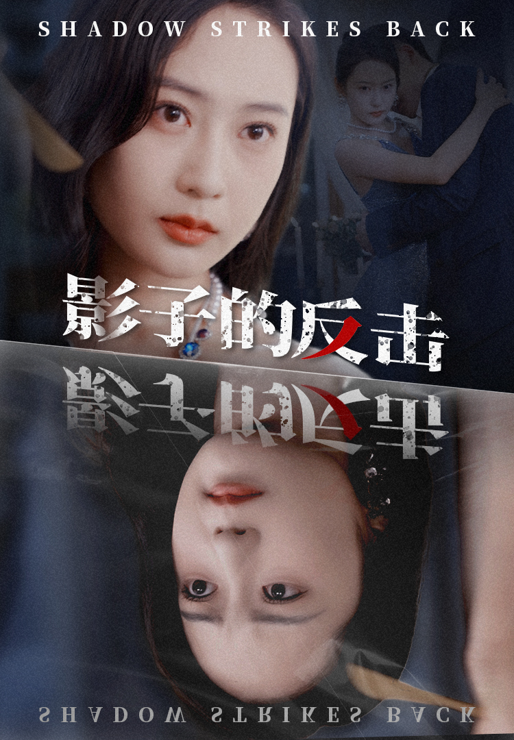 影子的反击封面图