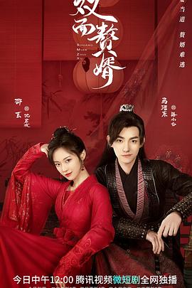 双面赘婿第二季封面图