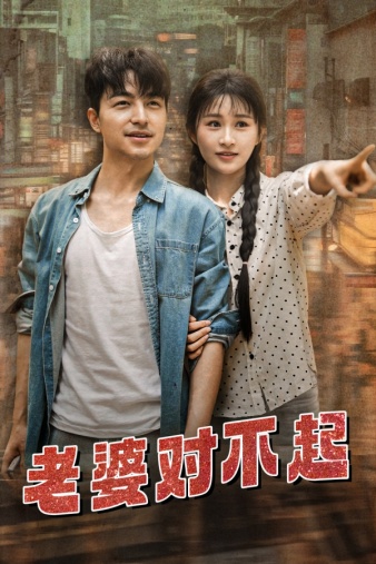 老婆对不起封面图