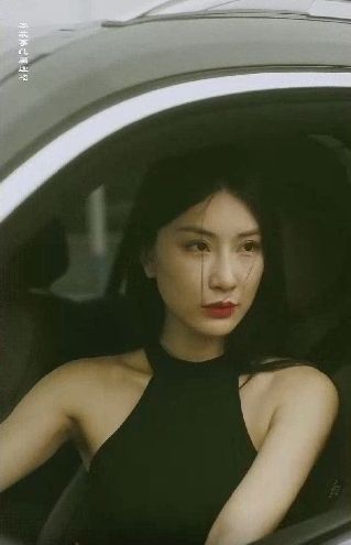 特工凤凰（绝色特工）封面图