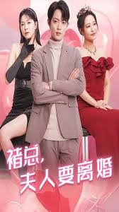 褚总夫人要离婚封面图