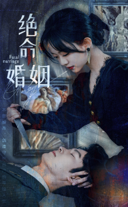 绝命婚姻封面图