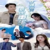 结婚当天新郎重生了(结婚一百零一次)封面图