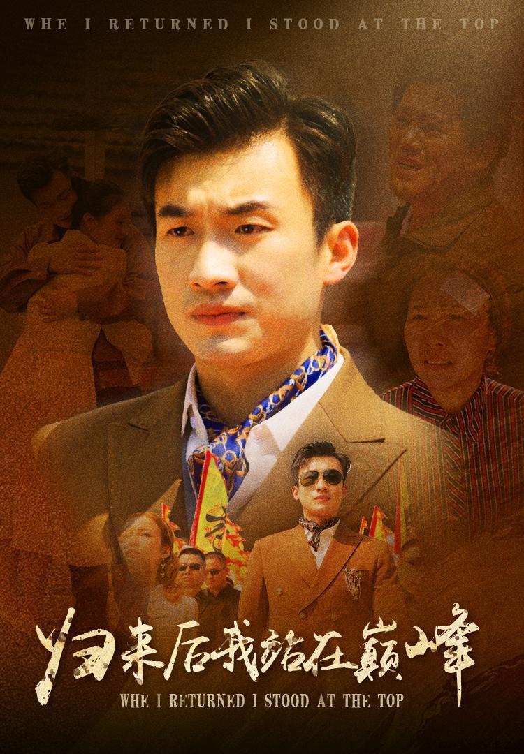 归来后我站在巅峰封面图