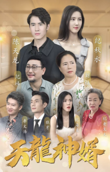 天龙神婿封面图