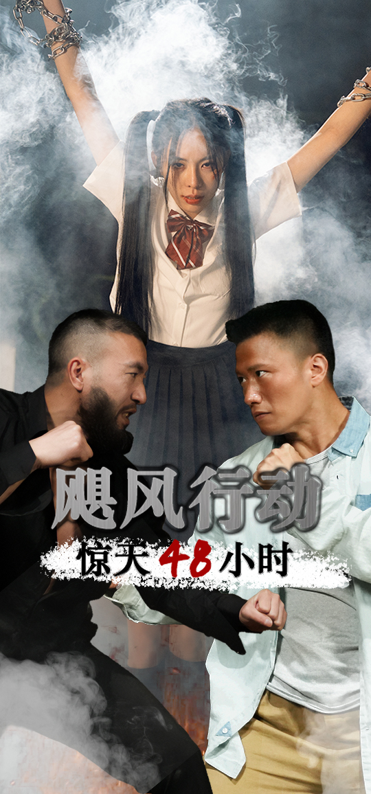 飓风营救惊天48小时封面图