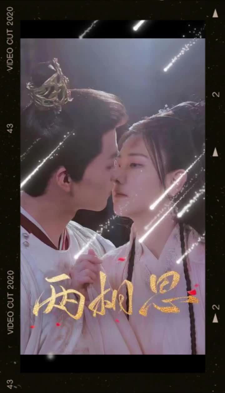 两相思封面图