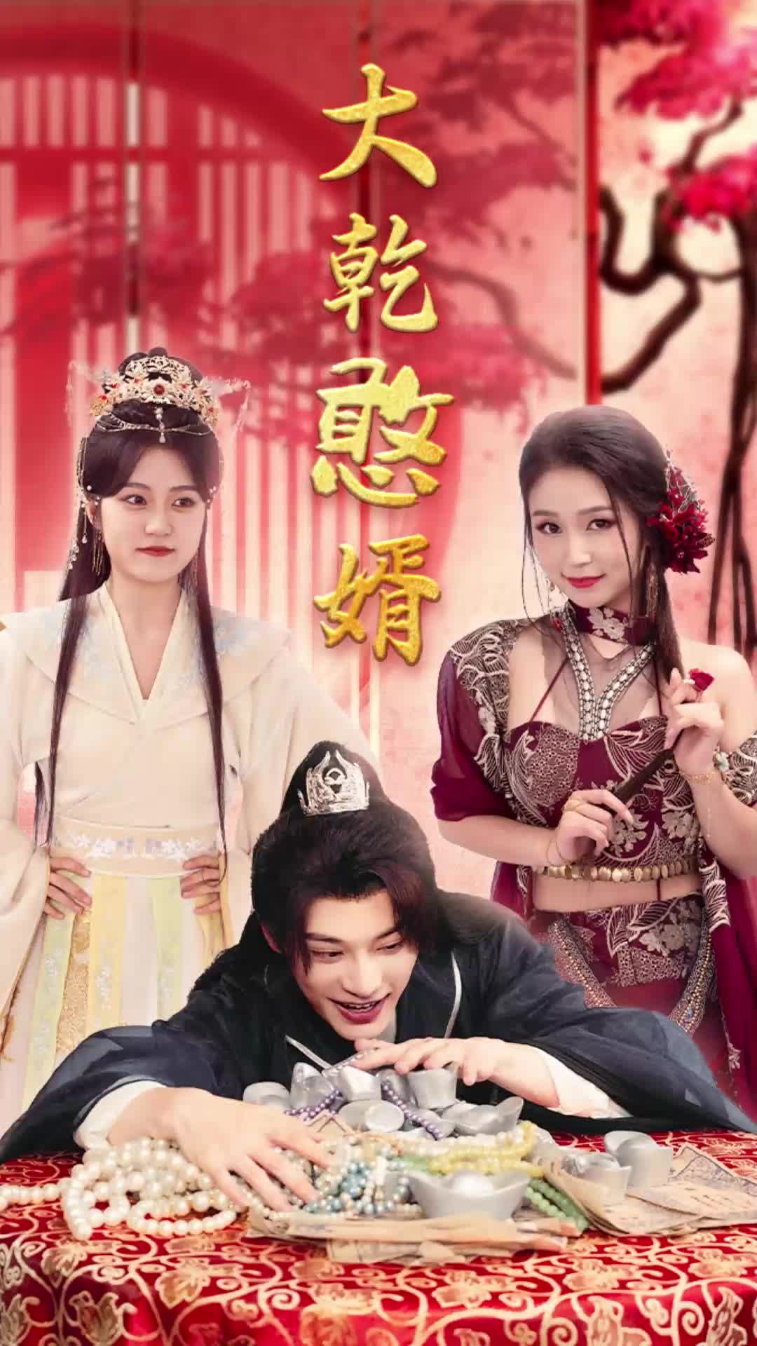 大乾憨婿封面图