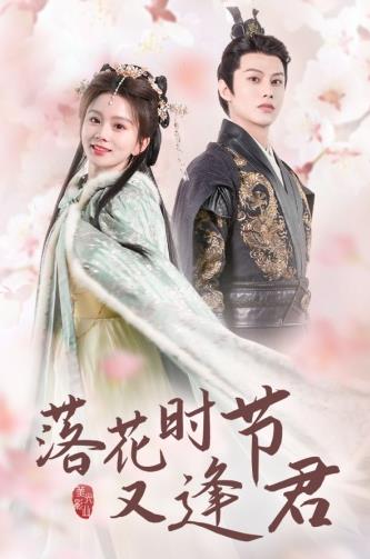 落花时节又逢君短剧封面图
