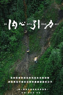 内心引力封面图