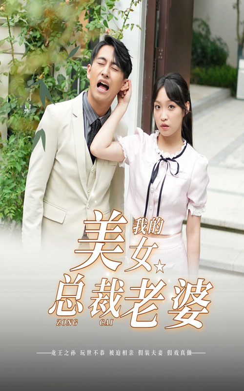 我的美女总裁老婆封面图