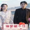 偏爱藏不住封面图