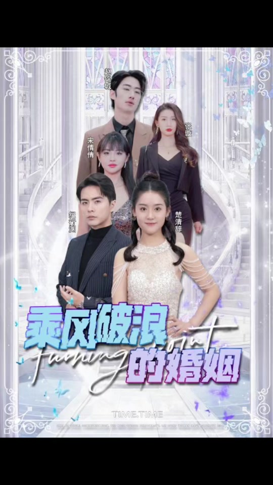 乘风破浪的婚姻封面图