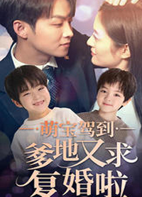 萌宝驾到爹地又求复婚啦封面图
