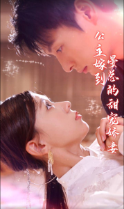 公主嫁到，晏总的甜宠娇妻封面图