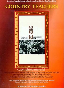 凤凰琴封面图