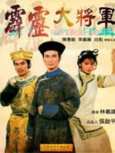霹雳大将军封面图
