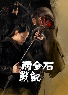 雨金石战记封面图
