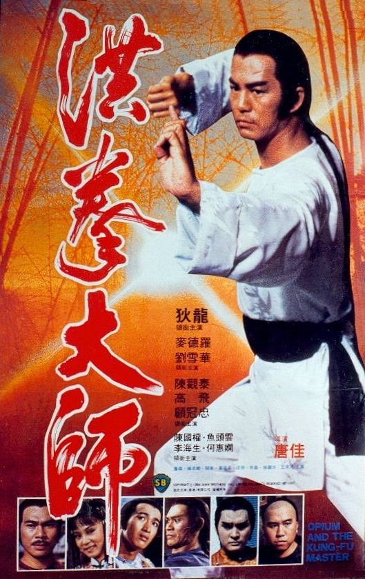 洪拳大师封面图