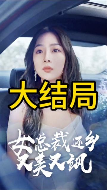 女总裁还乡又美又飒封面图