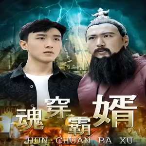 魂穿霸婿封面图