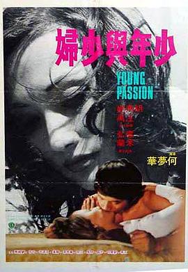少年与少妇封面图