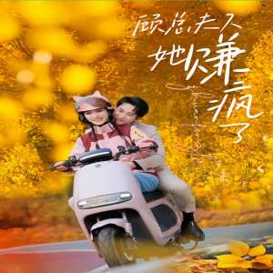 顾总夫人她赚疯了封面图