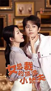 女总裁的顶流小娇夫封面图