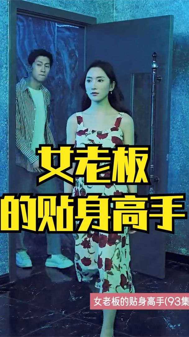 女老板的贴身高手封面图