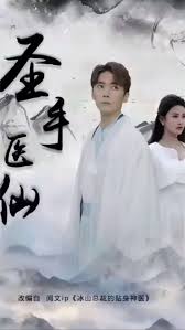 圣手医仙封面图