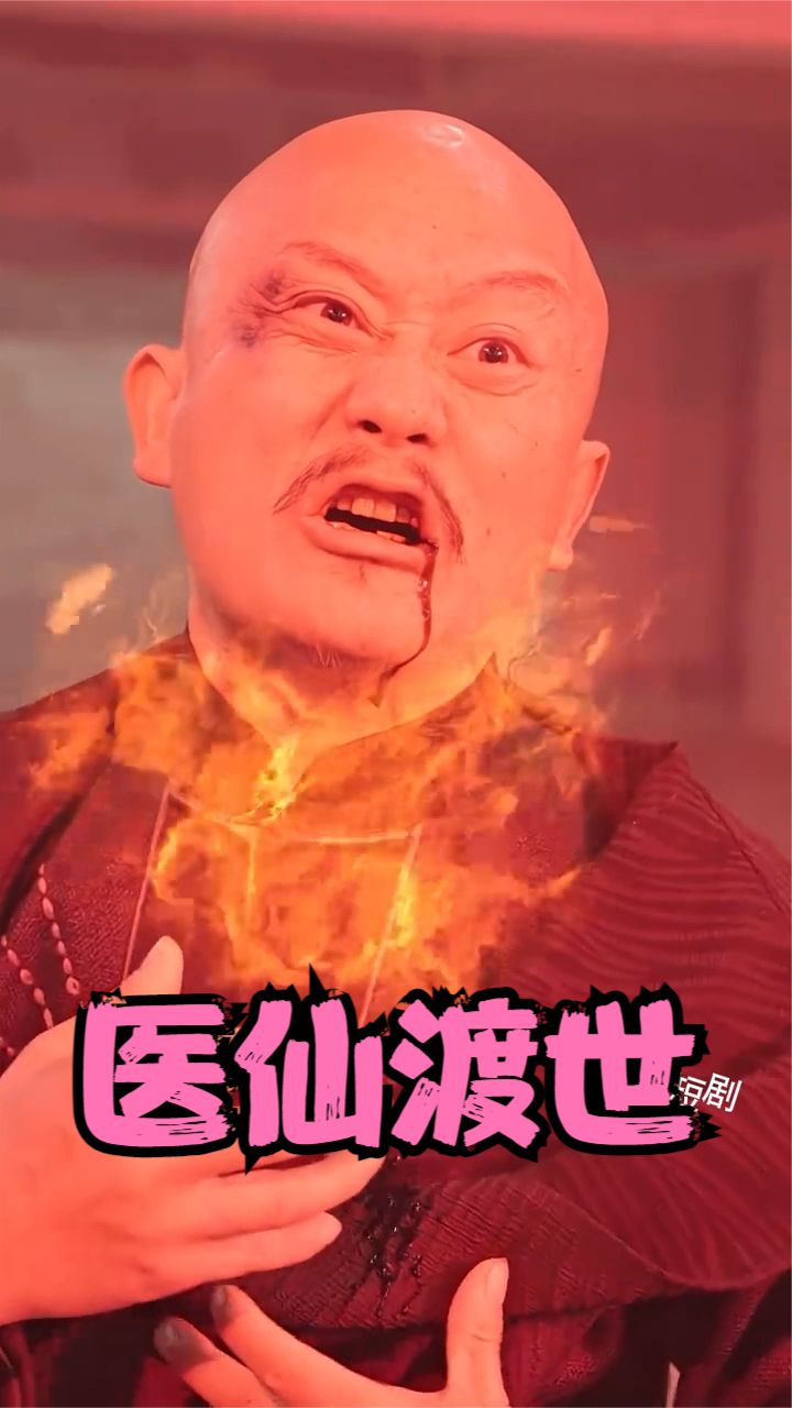 医仙渡世封面图