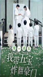 宠一送五，我带五宝炸翻豪门封面图