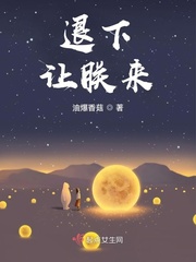 退下让朕来封面图