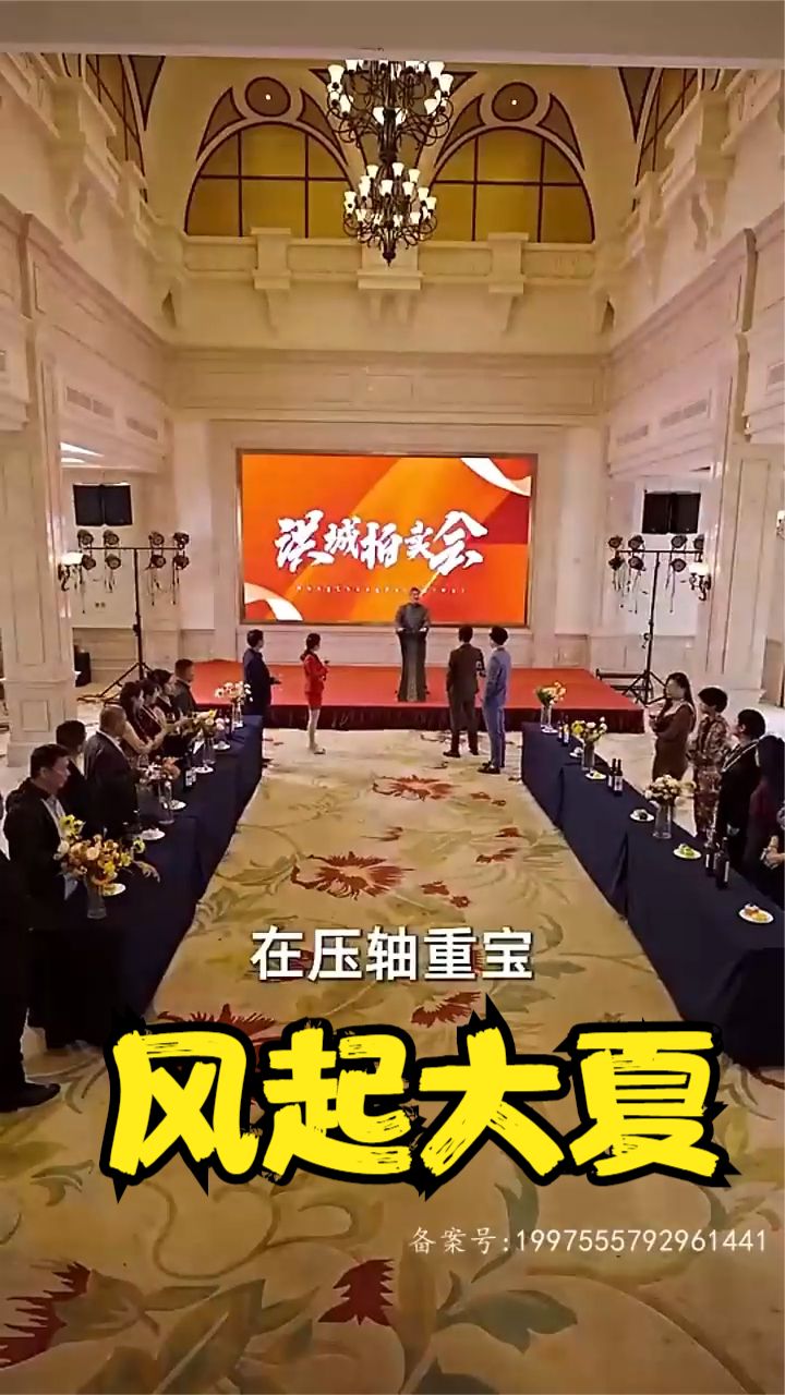 风起大夏封面图