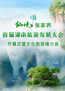 首届湖南旅游发展大会开幕式暨文化旅游推介会封面图