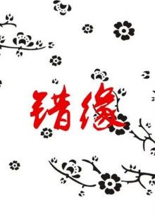 错缘封面图