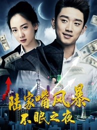 陆家嘴风暴：不眠之夜封面图