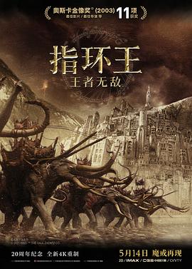 指环王3：王者无敌封面图