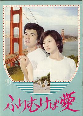鸢之恋封面图