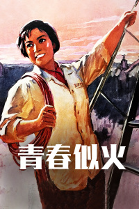 青春似火封面图