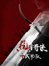 抗日奇侠之武功队封面图