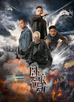 卧狼行动封面图